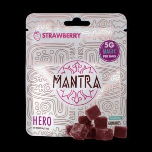 Mantra Hero Gummies premium fruit-flavored gummies in original retail packaging.